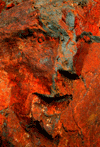 claude_mollard_photographe_Origene