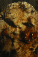 claude_mollard_photographe_Origene
