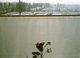 diana_lui_photographe