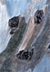 claude_mollard