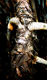 claude_mollard