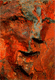 claude_mollard